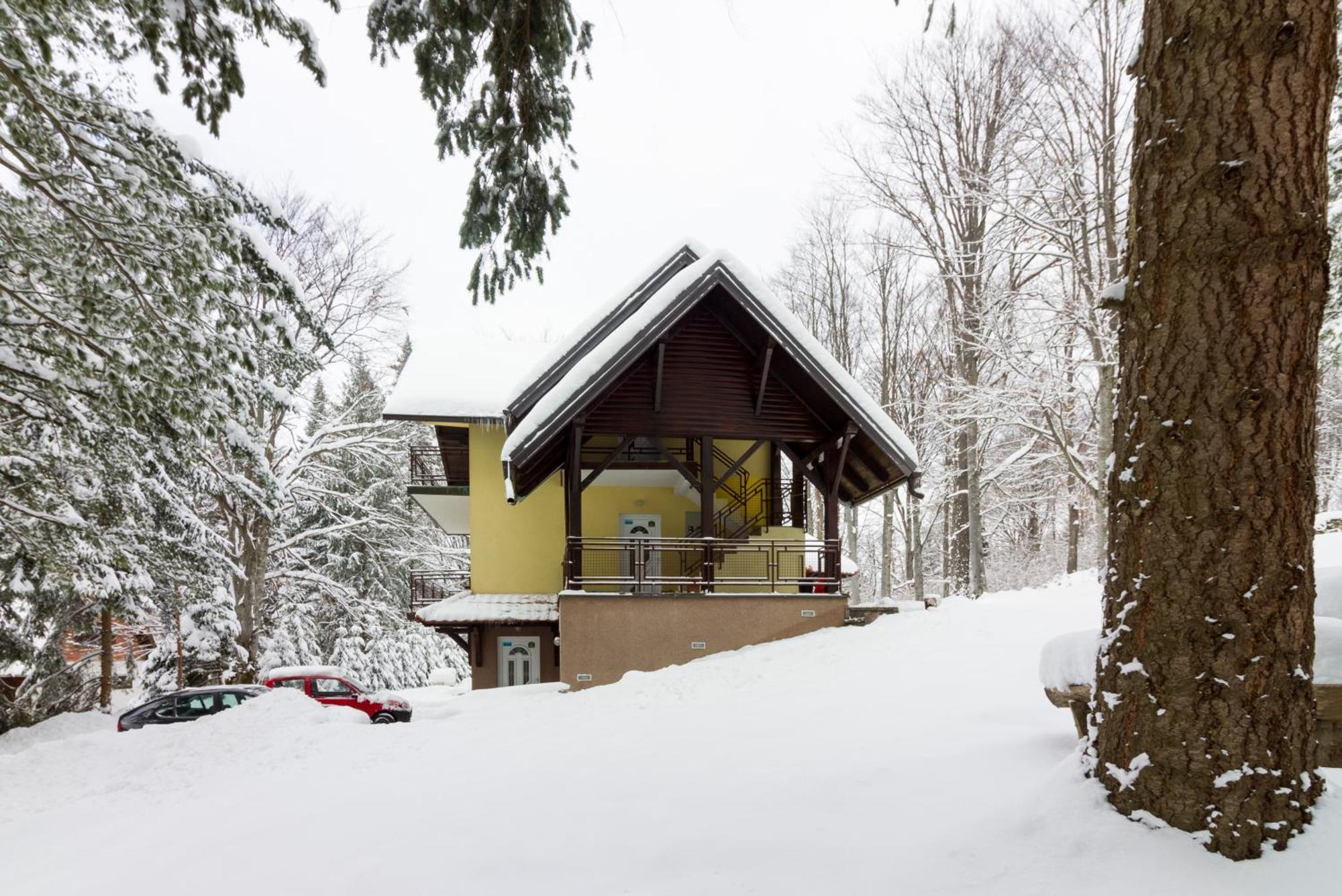 Vila Savinka Zlatibor Bagian luar foto