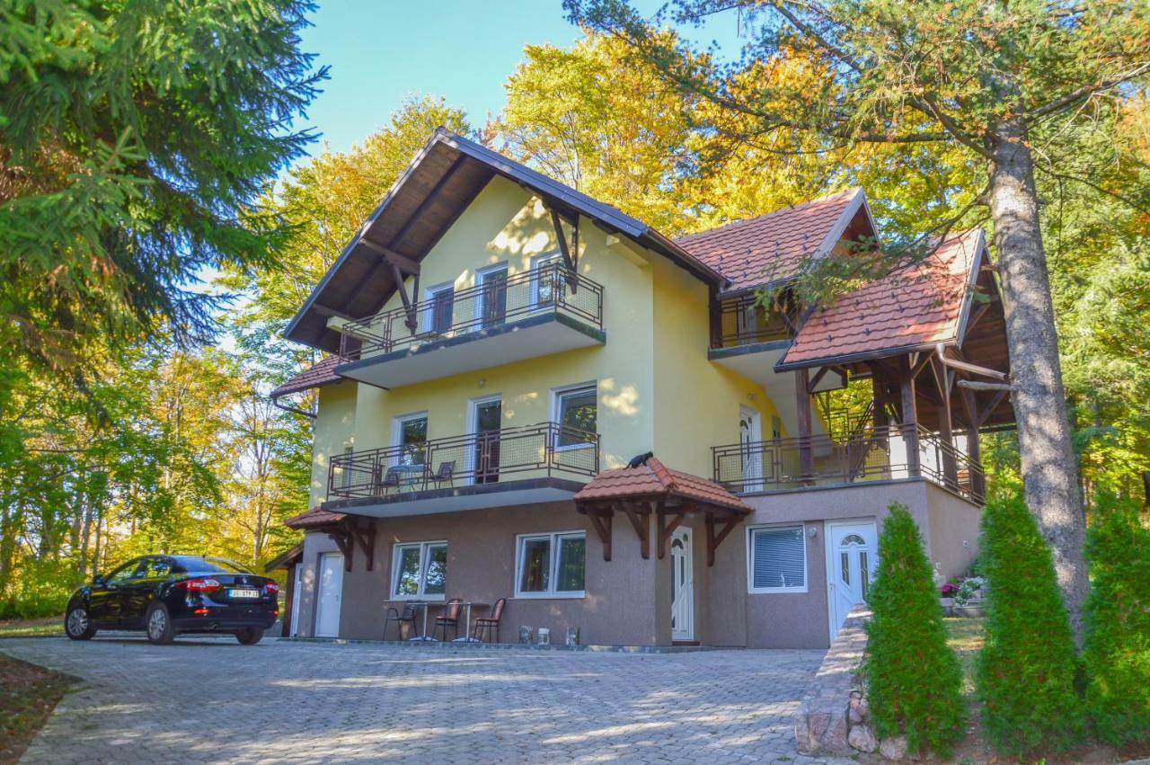 Vila Savinka Zlatibor Bagian luar foto