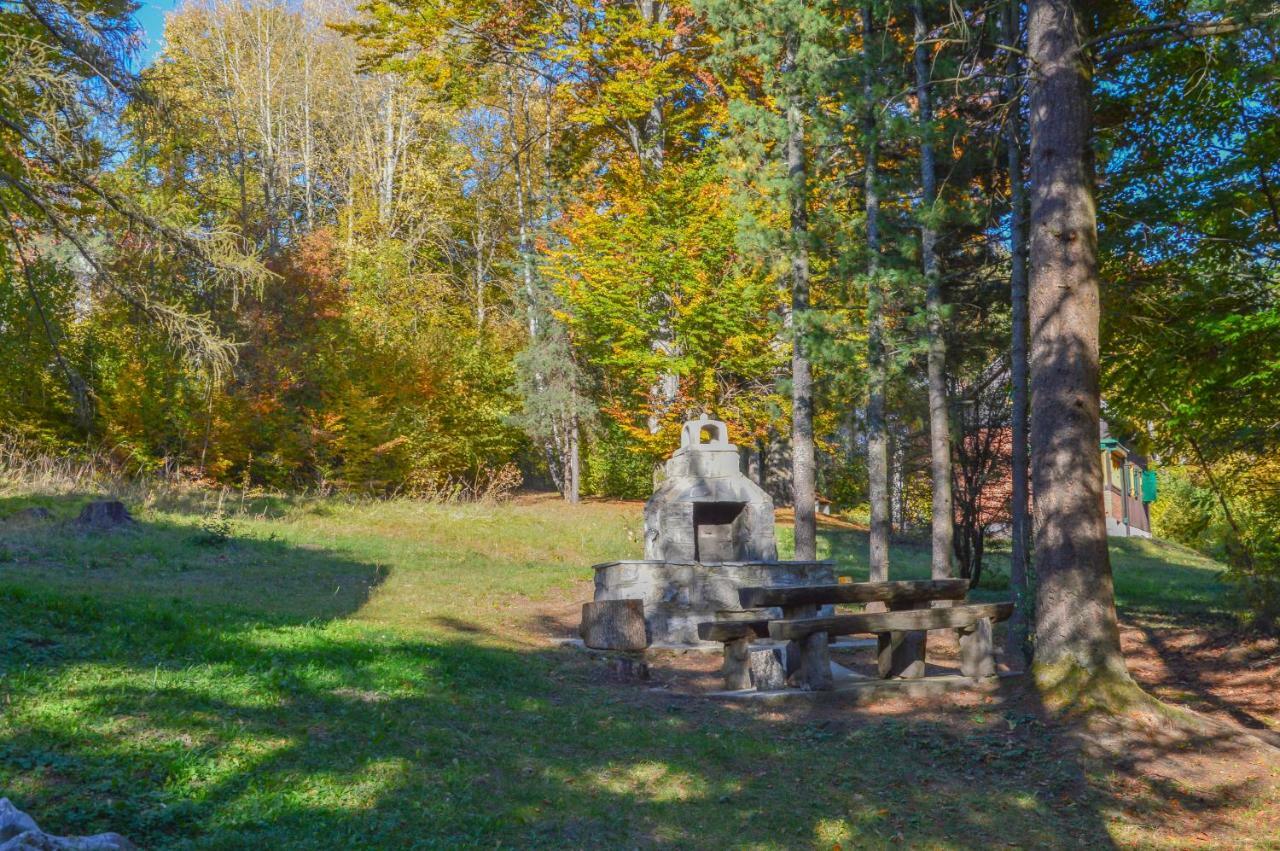 Vila Savinka Zlatibor Bagian luar foto