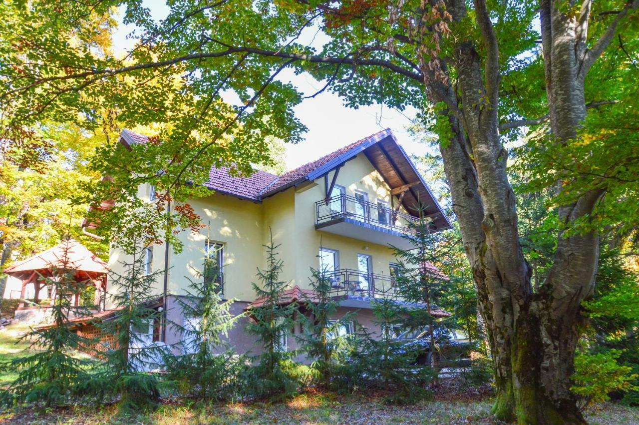 Vila Savinka Zlatibor Bagian luar foto
